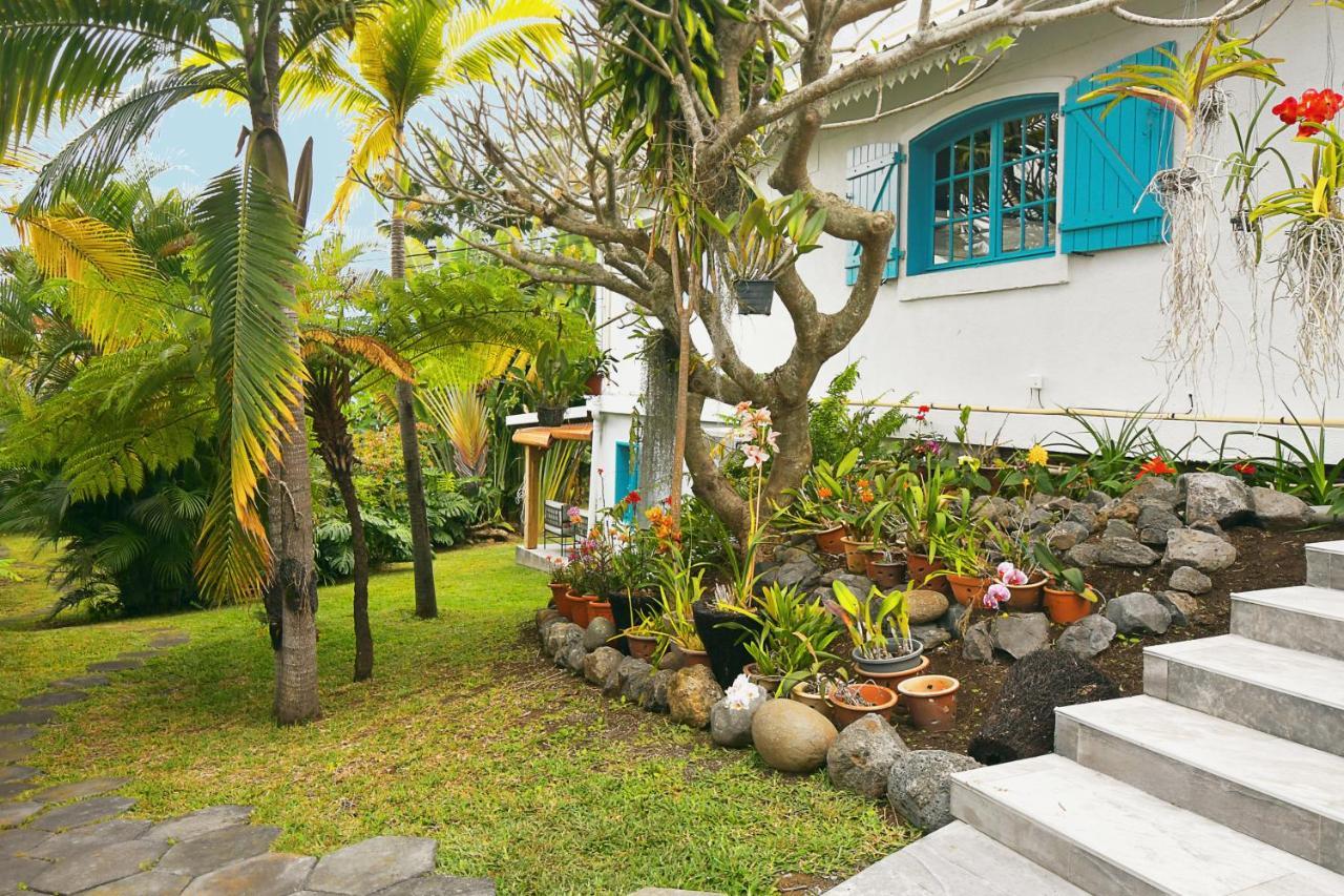 Le Jacaranda Du Guillaume Bed & Breakfast Le Guillaume Bagian luar foto